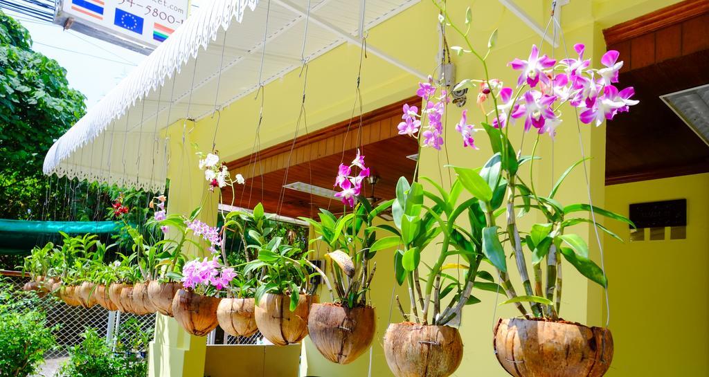 Adonis Guest House Patong Buitenkant foto