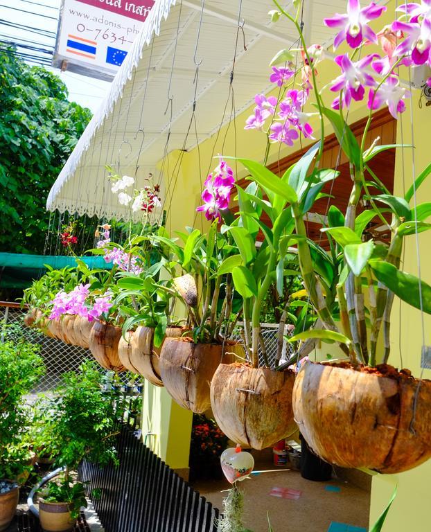 Adonis Guest House Patong Buitenkant foto